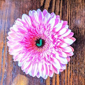 Meet your Posher, Jeanne